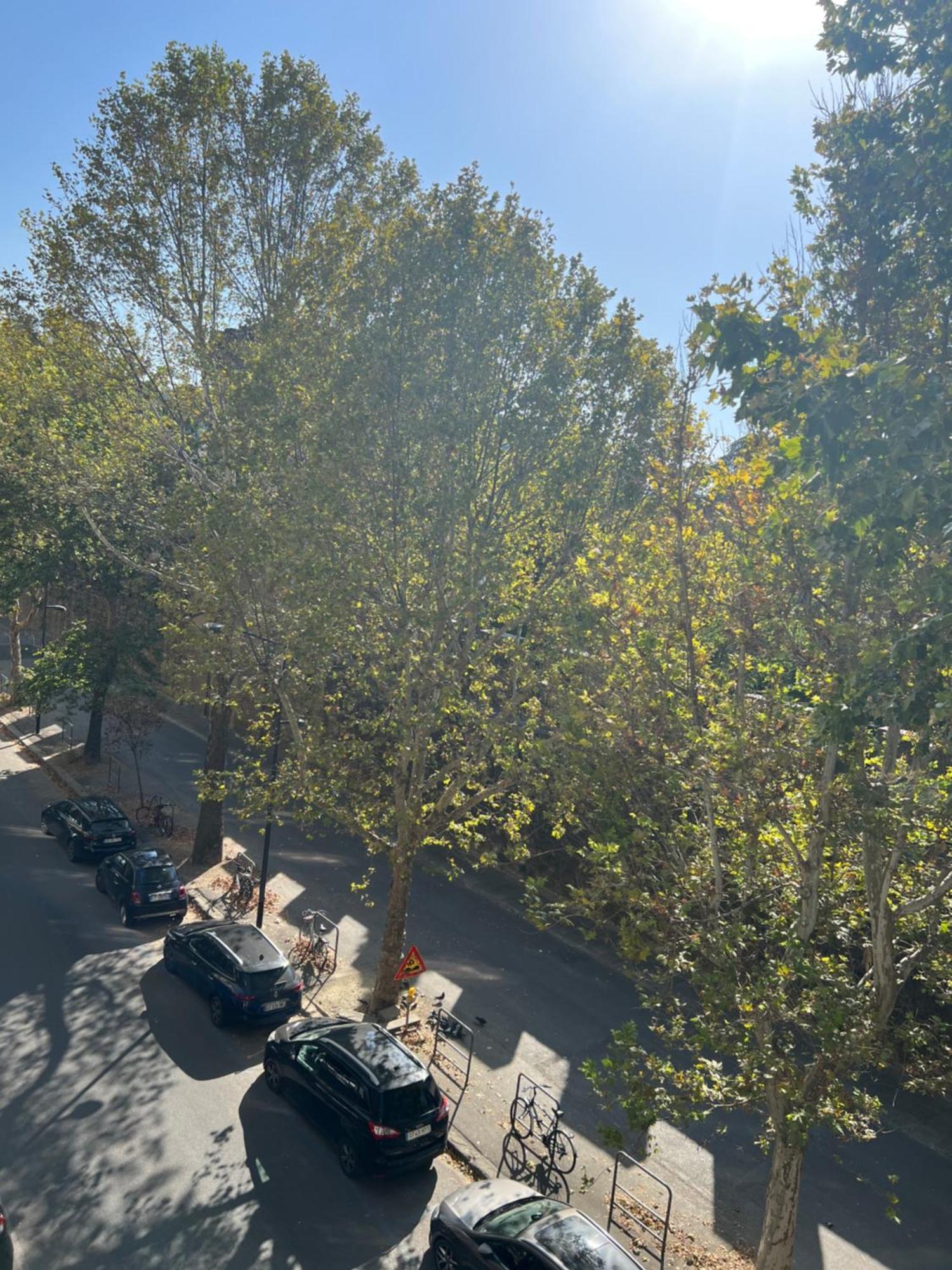 Santa Rosa Florence Apartments 3 Bedrooms - Private Parking Bagian luar foto